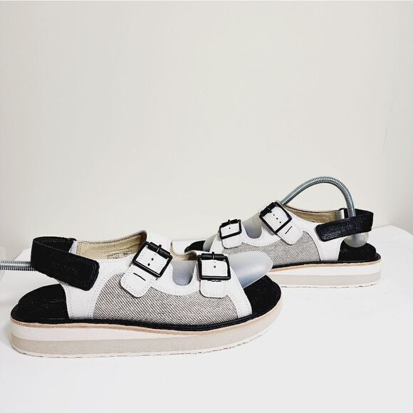 SAS Conga - Picture 10 of 12